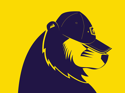 Teddy bear privacy profile bear cap freedom grizzly incognito privacy profile teddy