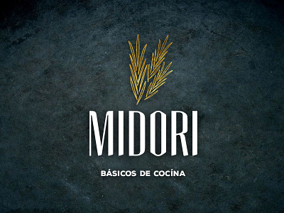 Midori Logo branding logo logodesign