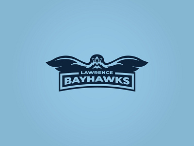 Bayhawks Logo