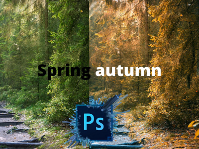 spring to autumn autumn changeautumn graphic design spring springtoautumn