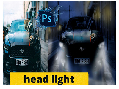 head light day light night