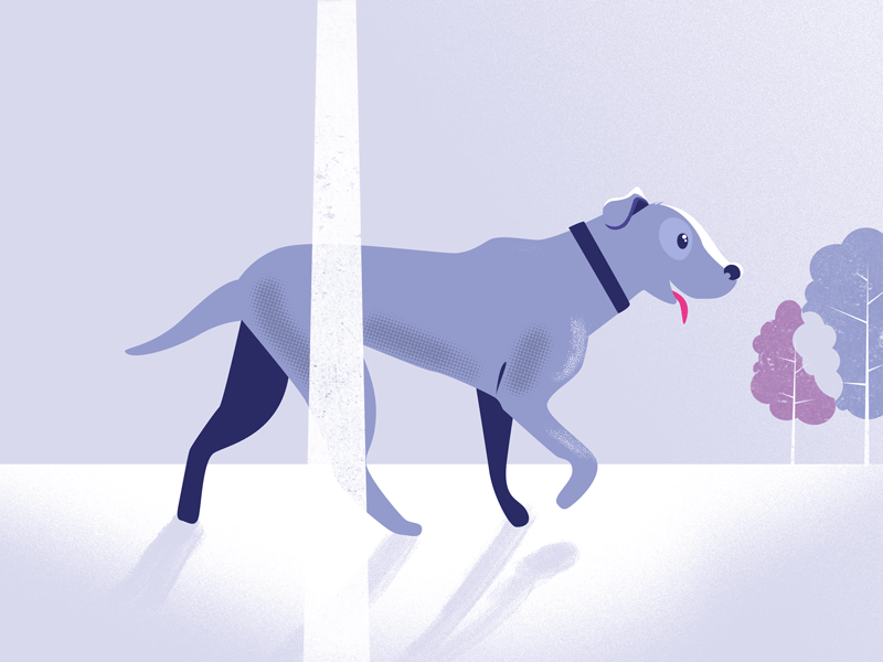 Le Youki animated dog illustration motion walking