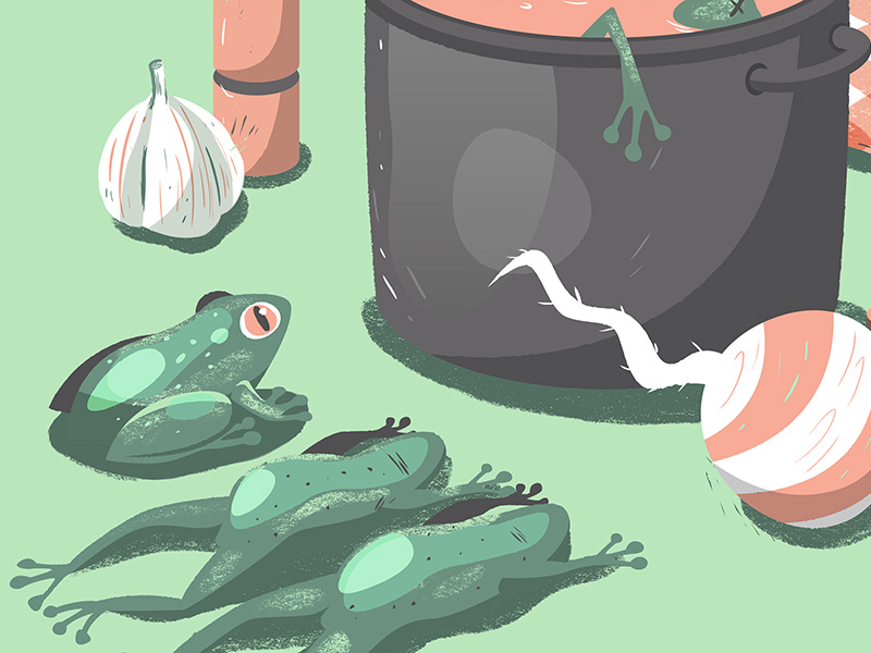 A frog illustration website frenchie kitchen food frog