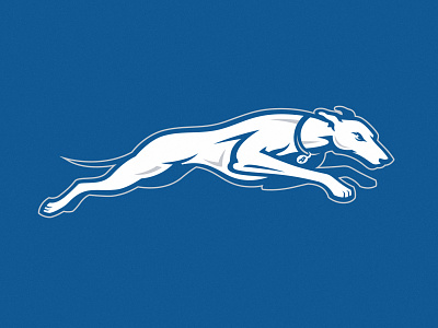 Dog branding design dog esport football greyhounds illustration logo mascot sport team