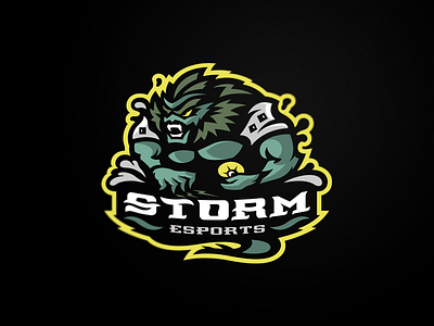 Storm branding designs esport logo mascot snepz sports team