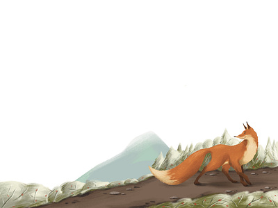 Book illustration “fox”