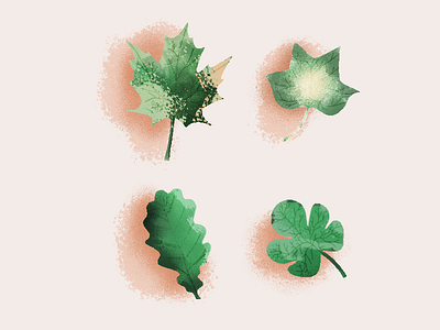 Leaves brushes digital illustration leaves texture