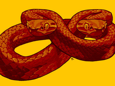 Twin Snakes illustration snakes