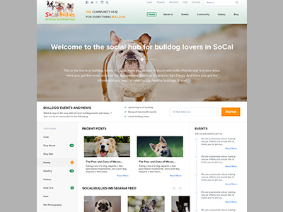Socali Website design adorasoft blogs dog dog banner dogs dogs website logo socali ui ux website design