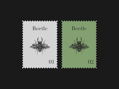 Beetle Postage Stamp beetle branding graphic design illustration postage stamp print vintage
