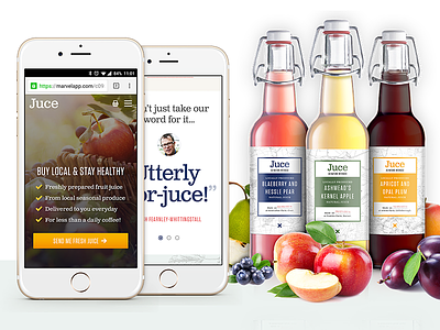 Branding, ux, ui and marketing app branding creative fruit juice marketing responsive site ui ux web