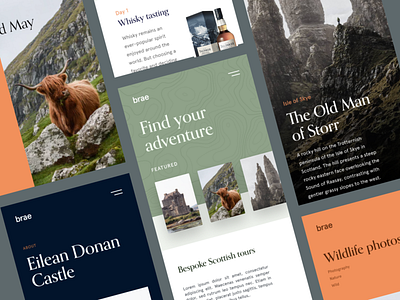 Travel app adventure app booking branding cow design green holiday orange photography scotland scottish travel typography ui uk ux web whiskey whisky