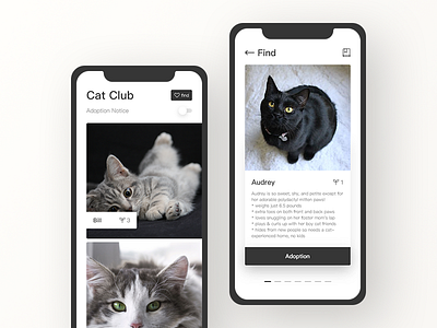 Cat Club app cat graphic illustrations information iphone kit ui user ux