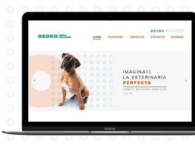 Asoka. architecture branding logo pets web