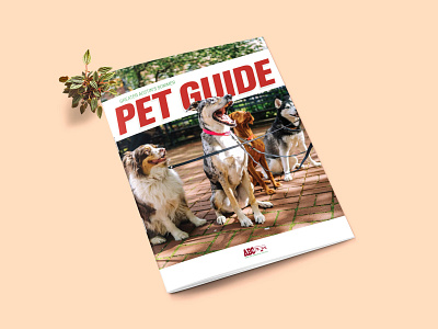 ABC Greater Austin Area Pet Guide collateral design editorial editorial design editorial illustration illustration layout layoutdesign magazine magazine issue marketing collateral marketing guide monthly guide monthly magazine typography