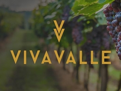 Viva Valle branding logo logodesign
