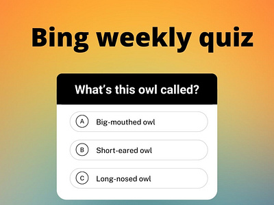 Bing weekly quiz by Satyam Kumar on Dribbble