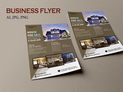 Business Flyer design graphic design