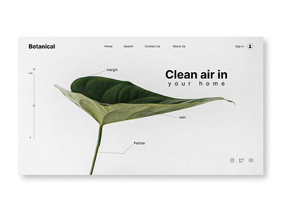 Botanical Website app design graphic design typography ui ux