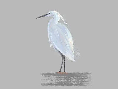 Egret animal bird digitalart digitalillustration digitalpainting egret illustration ipadart japanesestyle minimalism nature white