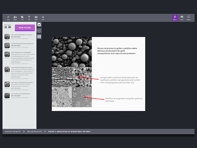 Scientific Figures | An image editor for scientific researchers image editing research saas science ui user interface
