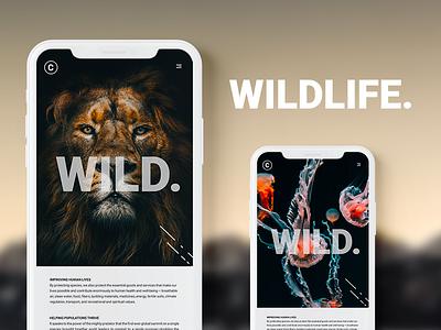 WILD animals app mockup nature sauvage ui ux wild wildlife wwf