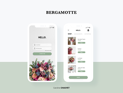 Bergamotte artdirector concept design flower green plant ui