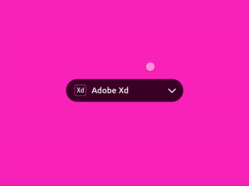 Animate Dropdown adobexd animation app branding design graphic icon interface ui ux webdesign
