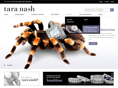 Tara Nash home page jewelry spiders ♥ shinies website