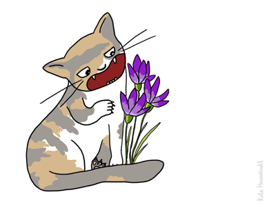 Bibi the cat cat funny illustration