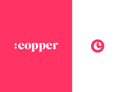Copper Brand Identity b2b tech brand identity branding logo naming