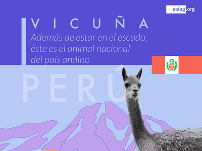 ANIMALITOS LATAM