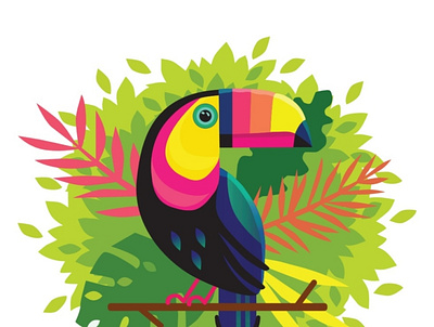 Hornbill Illustrator work adobe design illustration vector