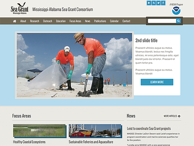 Sea Grant homepage ui ux website