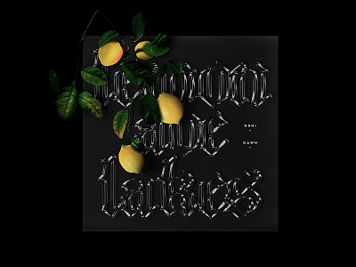 Lemonade Lakes adidas album cover br fruit old english typography vibes yours truly