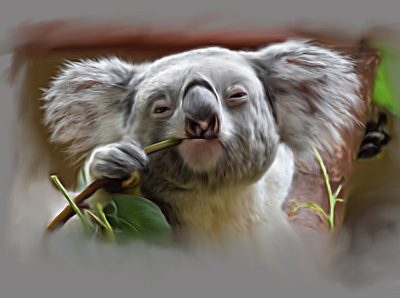 Koala Digital ART animal animation cute design digit digital art graphic design illustration vector