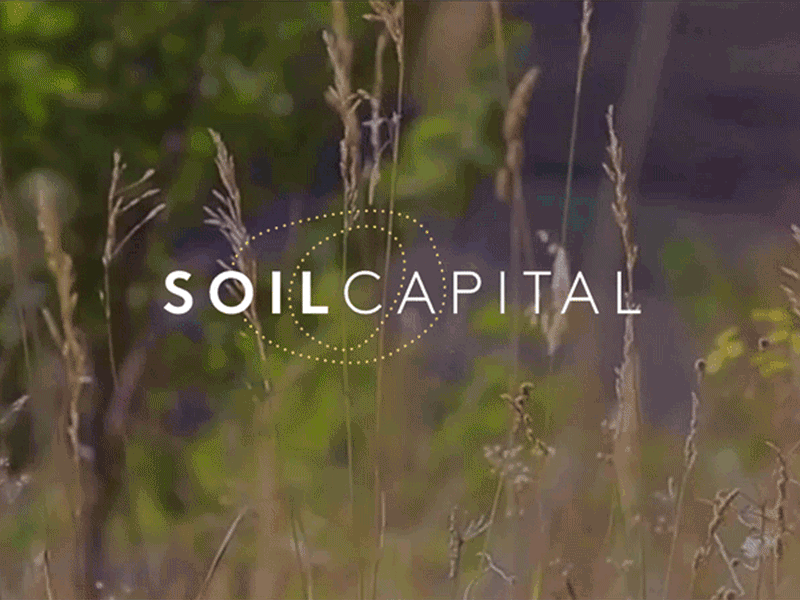 Soil Capital Brand Identity branding identity logo video