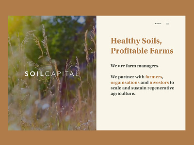 Soil Capital Homepage brand identity typography ux web design