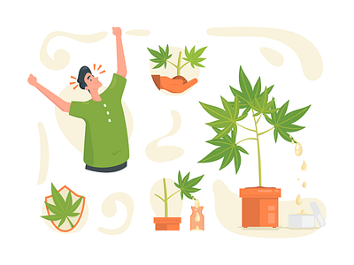 Cannabis Illustration sets cannabis character flat illustration green hemp illustrations leaves marijuana plants