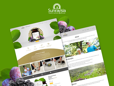 Sunraysia Prune Extract | Website Design