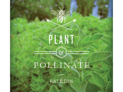 Plant & Pollinate advocacy bee garden honey bee logo plant pollinate