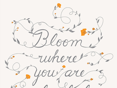 Bloom illustration poster typography