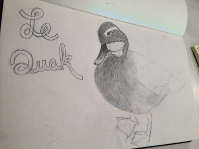 My french ducky friend animals birds drawing duck french hand lettering hand type illustration in progress pencil sketch wip