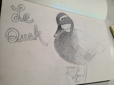 My french ducky friend