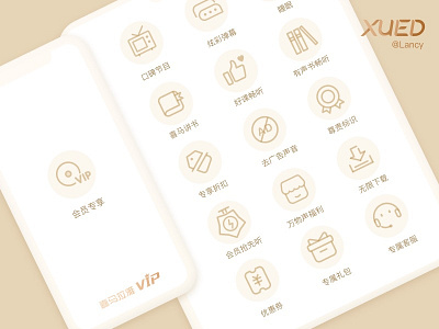 线稿版本 icons ui vip