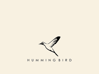 Hummingbird logo design