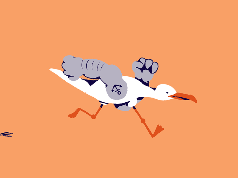 Oi give us ya chippies! 2d animation bird cycle gif loop muscles run seagull