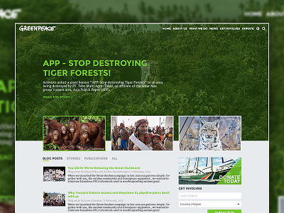 GreenPeace Homepage Rethink concept green greenpeace redesign rethink