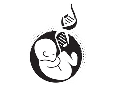 Fitus baby dna fitus umbilical umblilical cord