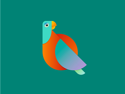 Q is for quetzal 36daysoftype animal design digital graphic illustration lettering minimal typography vector vibrant